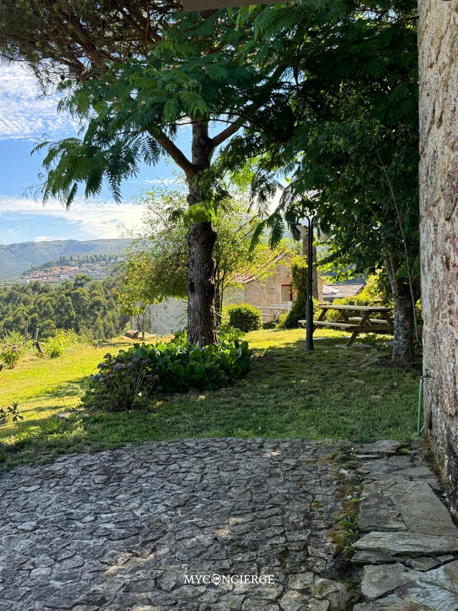 Vista